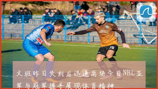 文班昨日失利后迅速离场今日NHL亚军与冠军握手展现体育精神